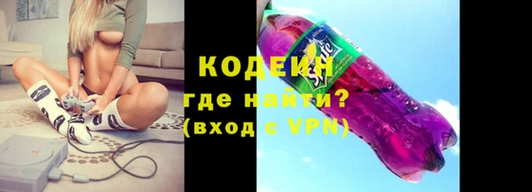мдпв Вяземский