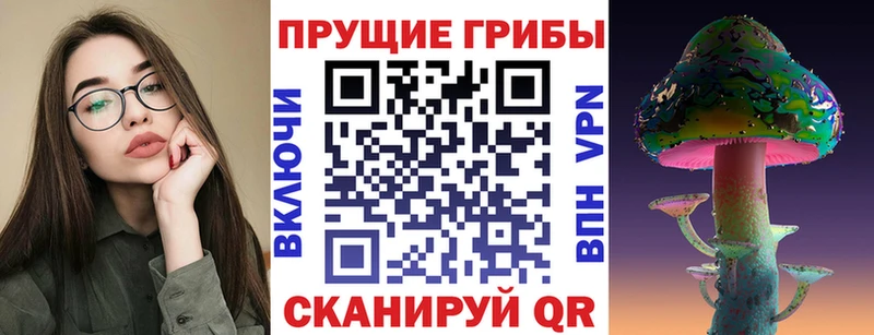 Галлюциногенные грибы прущие грибы  Купить  Ворсма 